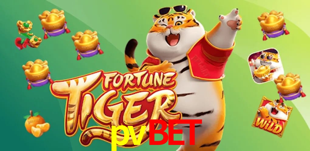 Experiência VIP pvbet